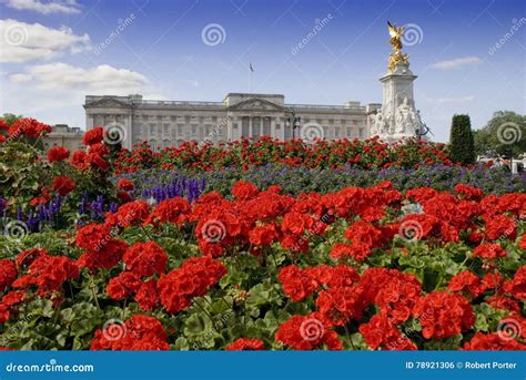 Buckingham Palace and Flower Garden Stock Photo - Image of monarchy ...