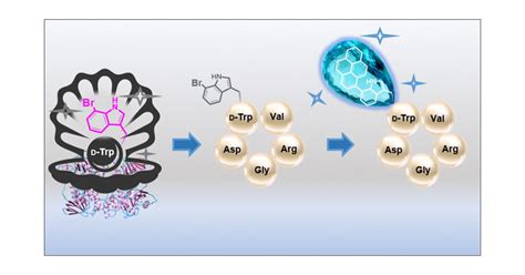 Tuning the Biological Activity of RGD Peptides with Halotryptophans ...