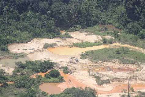 gold mining in guyana – destruction masquerading as progress | mark ...