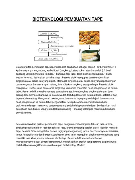 Bioteknologi Pembuatan Tape | PDF