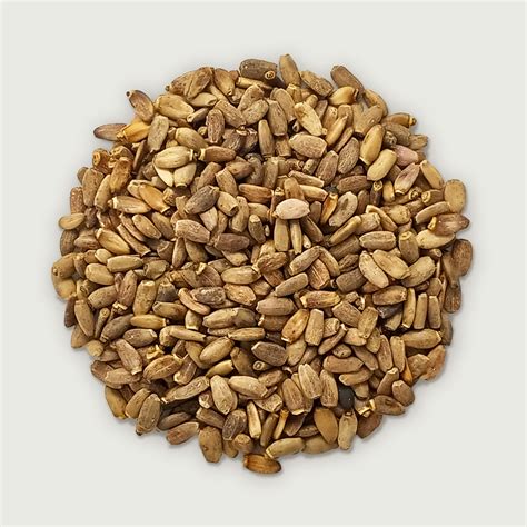 Cardo Mariano, Semillas (Milk Thistle Seeds Whole) 16 oz