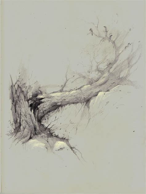 Fallen Tree, Bobby Rebholz | Landscape drawings, Tree art, Tree sketches