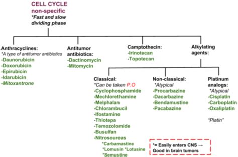 ANTI-CANCER NON-SPECIFIC CELL CYCLE DRUGS Flashcards | Quizlet