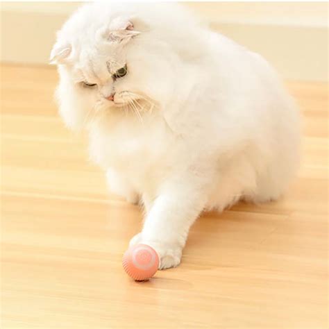 Automatic Smart Cat Toy | innosfound