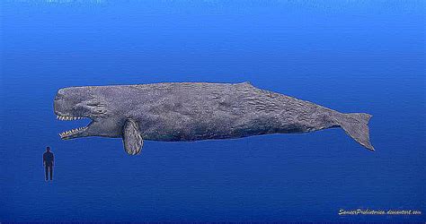 Facts About Leviathan, the Giant Prehistoric Whale