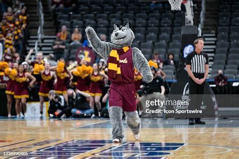 Loyola Chicago Mascot Photos and Premium High Res Pictures - Getty Images