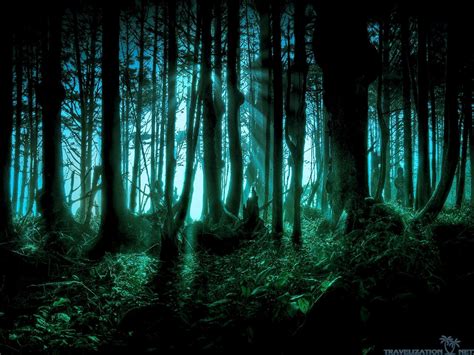 Aesthetic Creepy Forest Gif Largest Wallpaper Portal | My XXX Hot Girl