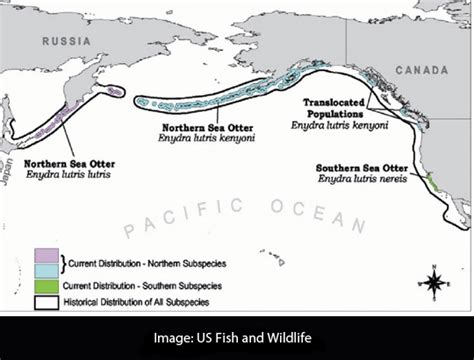 Habitat Map Of Where Sea Otters Live