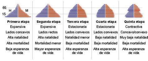 -Pirámides de población y sus formas según el modelo de Transición... | Download Scientific Diagram