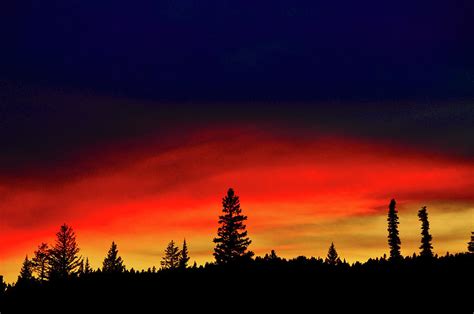 Yellowstone Sunset by Bill Gracey