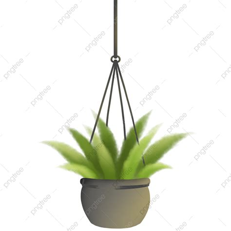 Hanging Plant, House Plant, Plant, Green PNG Transparent Clipart Image and PSD File for Free ...