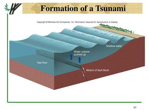 Earthquake Tsunami Diagram