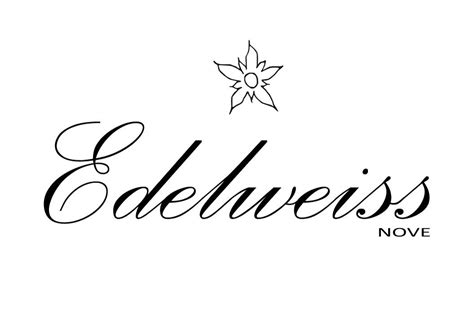 Ceramiche Edelweiss | Handmade dinnerware, Hand painted ceramics ...