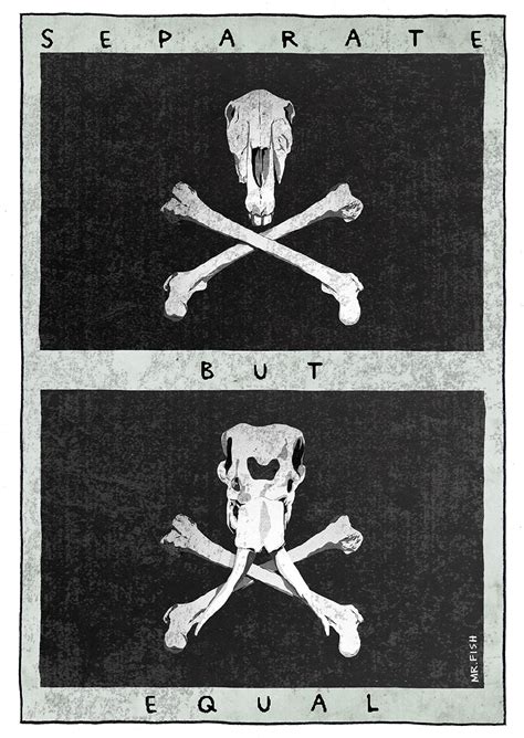 Separate But Equal - Mr. Fish