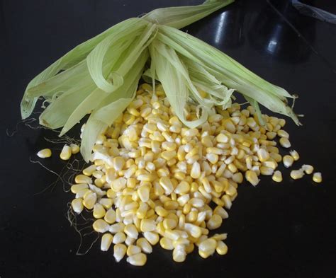 Sweet Corn Tikkis | Mimosas & Samosas