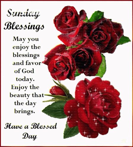 Sunday Blessings Have ABlessed Day GIF - SundayBlessings HaveABlessedDay आपकादिनशुभहो - Discover ...