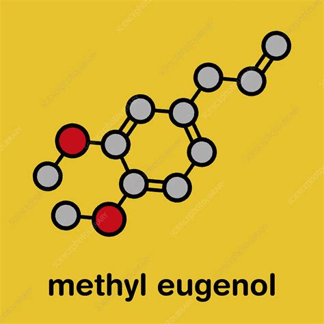 Methyl eugenol molecule - Stock Image - C045/7767 - Science Photo Library