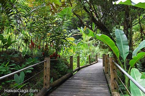 Hawaiian Tropical Botanical Garden, Big Island