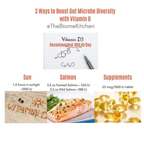 Vitamin D , Immunity and The Gut - The Biome Kitchen