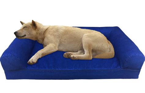 Luxury Orthopedic Gel Cool Memory Foam Dog Sofa Bed for Large - XL Pet – Dogbed4less