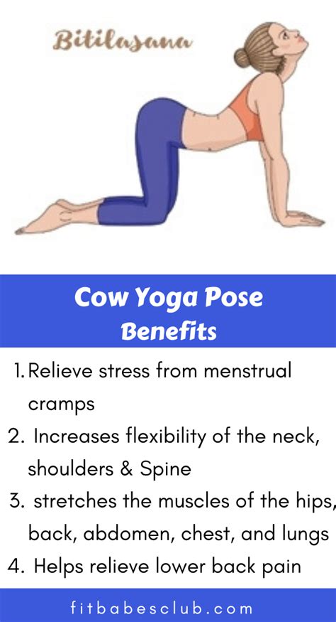 Cow Pose has So many benefits. Cow pose is one of the first yoga poses ...