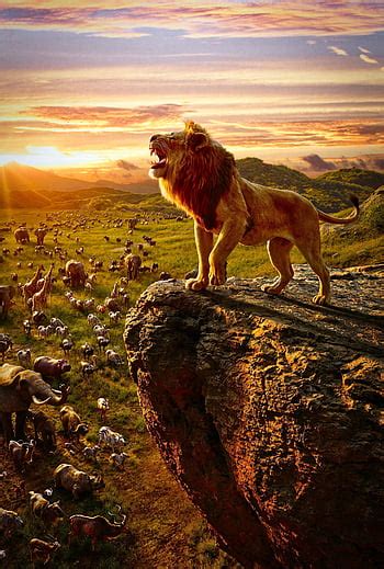 The Lion King Wallpaper 4k - Infoupdate.org