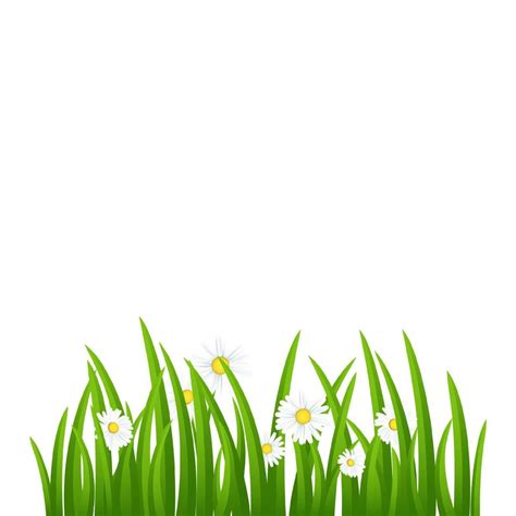 Green Grass Border, Vector Illustration. Grass vector illustration ...