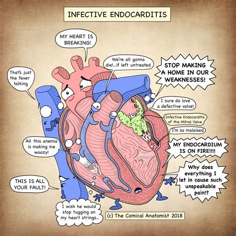 Cardiovascular Diseases Archives - The Comical Anatomist