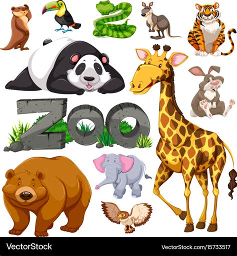 Zoo and different types of wild animals Royalty Free Vector