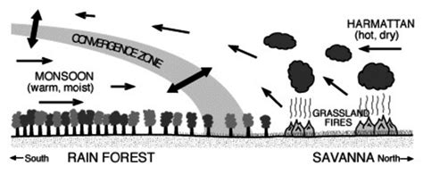 Harmattan Wind Diagram Source: Bob Henson, UCAR communications | Download Scientific Diagram