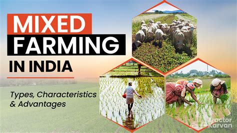 What is Mixed Farming, Type & Benefits of It