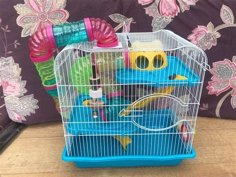 Full Hamster Cage Setup | in Taunton, Somerset | Gumtree