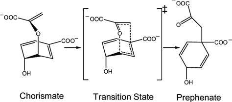 Rearrangement of chorismate (Left) to prephenate (Right) via a ...