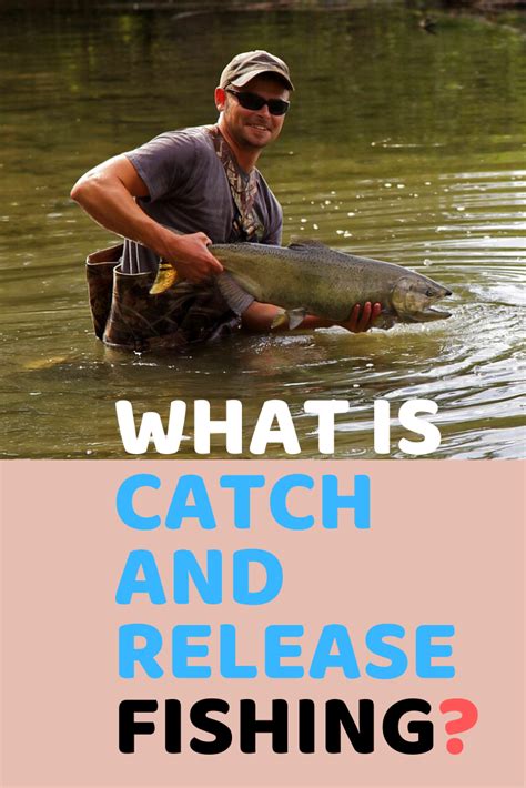 What is Catch and Release fishing! Explained! | Trout fishing tips, Fly ...