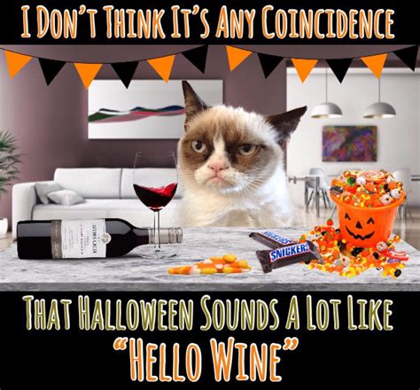 I Don’t Think It’s Any Coincidence That Halloween Sounds A Lot Like “Hello Wine” 🎃🍷 | Grumpy cat ...