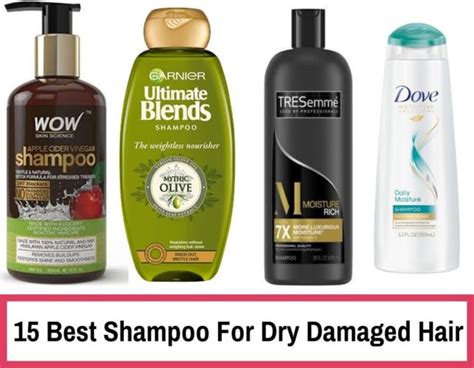 15 Best Shampoo For Dry Damaged Hair (Reviews) India 2020 |Trabeauli