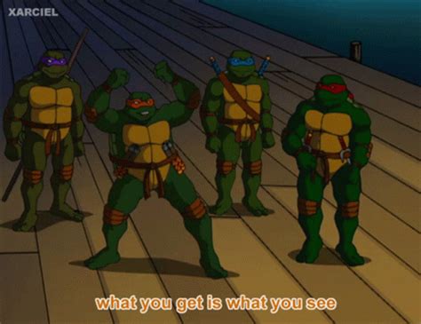 Tmnt 2003 GIF – Tmnt 2003 Ninja Turtles – discover and share GIFs