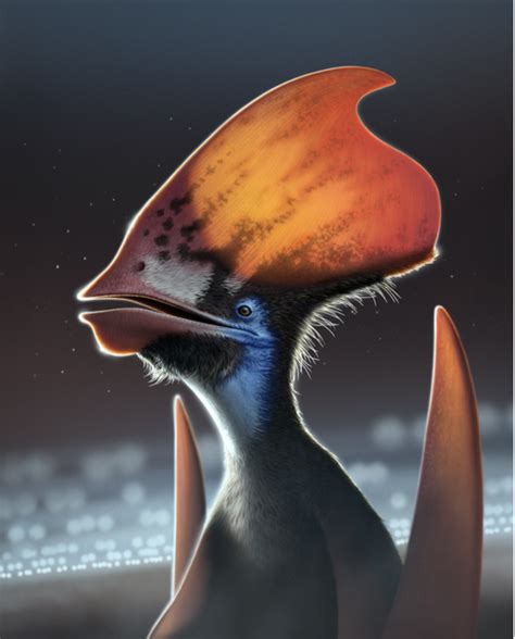 PTEROSAUR FEATHERS | Naked Scientists