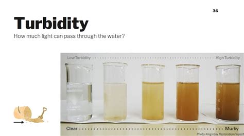 Turbidity: Water Quality Parameters #7 - YouTube