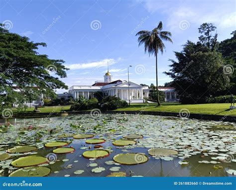 Bogor Palace editorial image. Image of resort, plant - 261882660