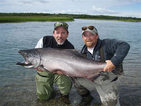 Alaska King Salmon Fishing gallery