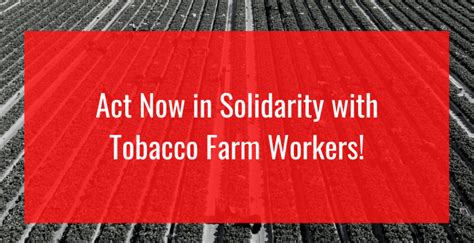 Action Alert: Support Tobacco Farm Workers in North Carolina! - NFWM