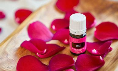 Benefits of Rose Oil | Young Living Blog