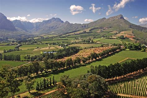 Cape Winelands | Cape Town Attraction - St James Guesthouses