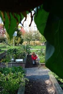 Toddler in City Hall community garden | Ruth Hartnup | Flickr