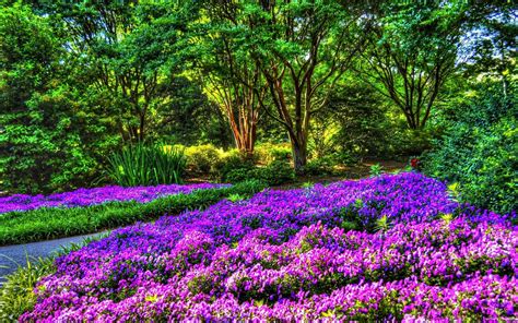 Purple Garden MacBook Air Wallpaper Download | AllMacWallpaper