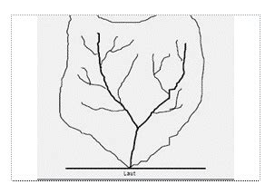 Pola Aliran Sungai - DUNIA PENDIDIKAN