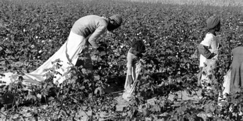 Week 1 Research: Blacks Sharecropping in the South - ROLL OF THUNDER ...