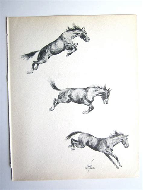 Bronco Bucking Bronco Horse Sketch Vintage Horses Horse | Etsy