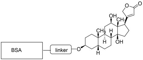 BSA-Digoxigenin Conjugate